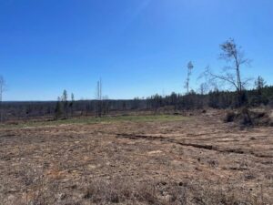 Property photo for land for sale in Claiborne County Mississippi