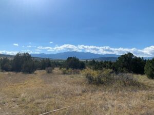 Property photo for land for sale in Pueblo County Colorado