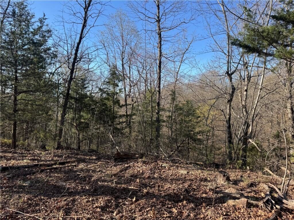 Property photo for land for sale in Newton County Arkansas