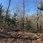Property photo for land for sale in Newton County Arkansas