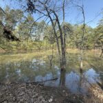 Property photo for land for sale in Izard County Arkansas