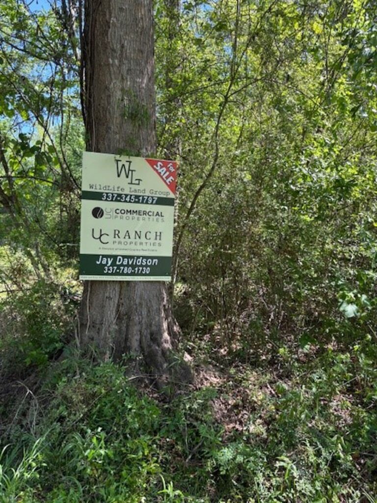 Property photo for land for sale in Pearl River County Mississippi