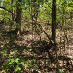 Property photo for land for sale in Barren County Kentucky