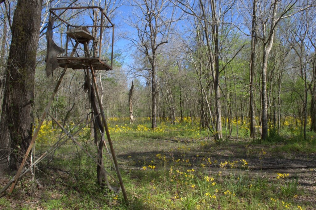 Property photo for land for sale in St. Martin County Louisiana