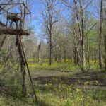 Property photo for land for sale in St. Martin County Louisiana