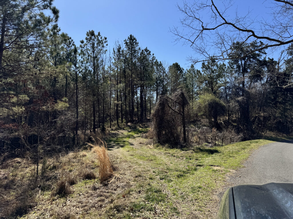 Property photo for land for sale in Claiborne County Mississippi