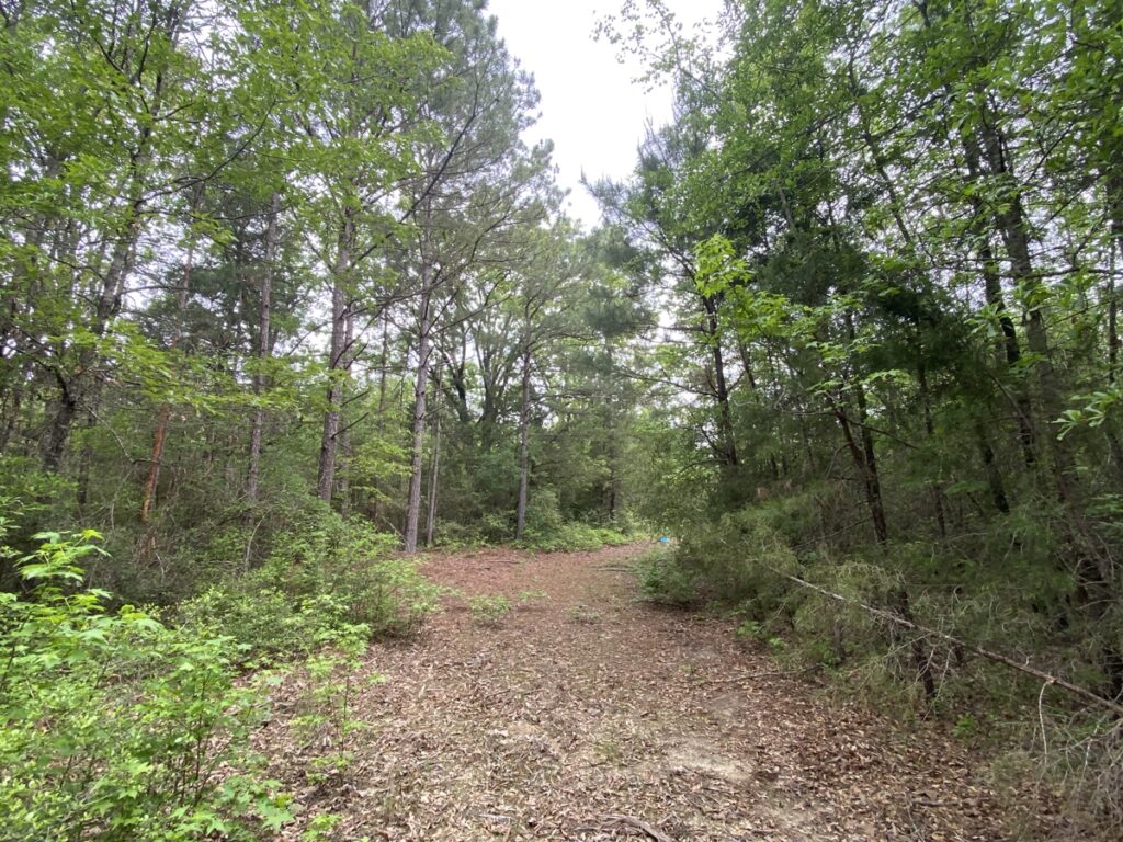 Property photo for land for sale in Marion County Texas