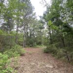 Property photo for land for sale in Marion County Texas