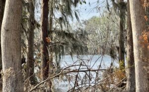 Property photo for land for sale in Hamilton County Florida
