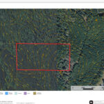 Property photo for land for sale in Cass County Texas