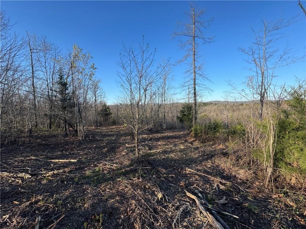 Property photo for land for sale in Newton County Arkansas
