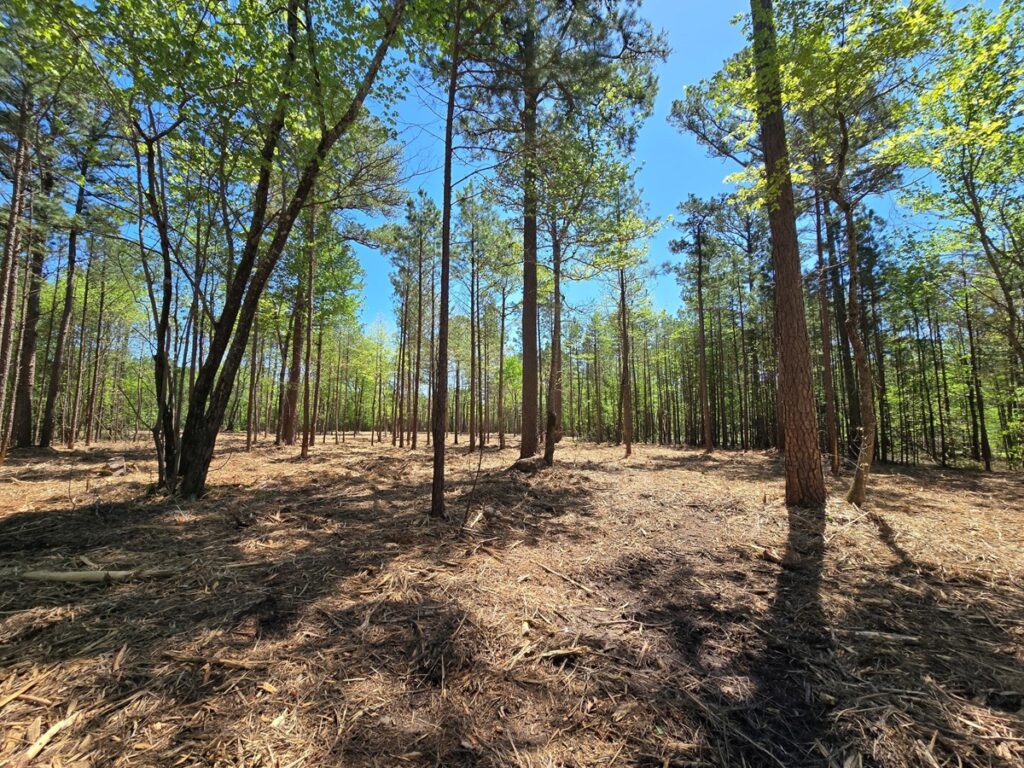 Property photo for land for sale in Le Flore County Oklahoma