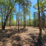 Property photo for land for sale in Le Flore County Oklahoma