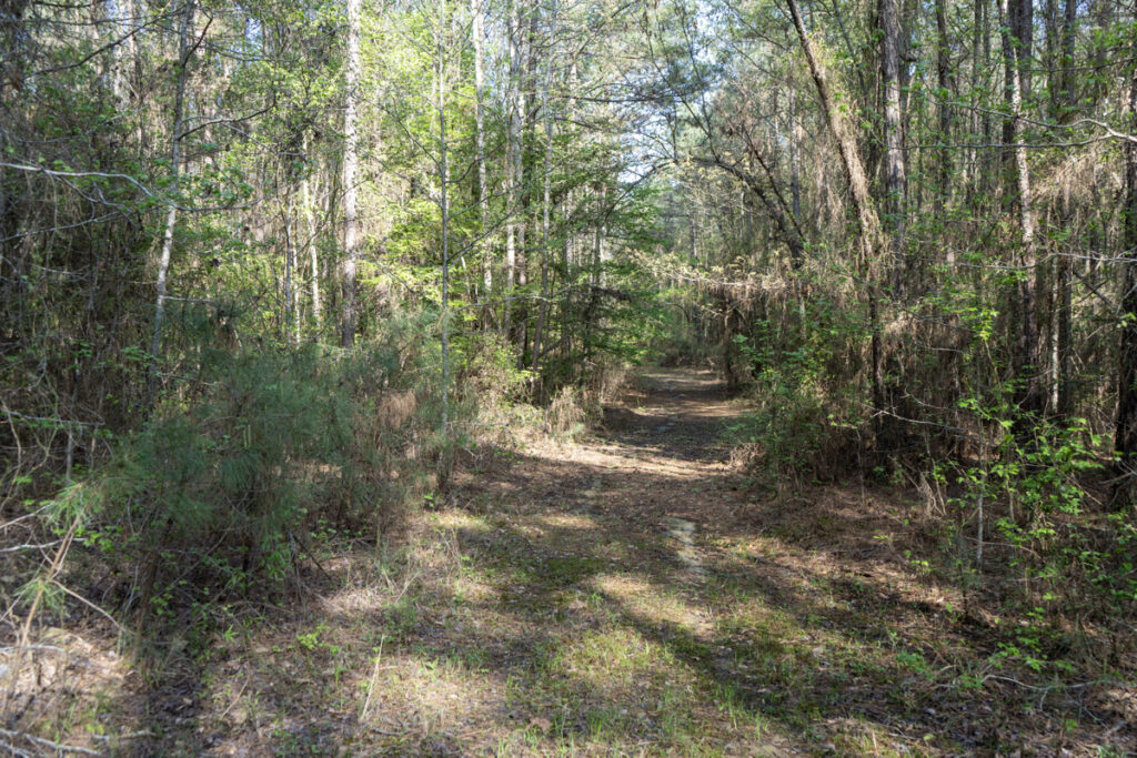 Property photo for land for sale in Jackson County Louisiana