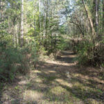 Property photo for land for sale in Jackson County Louisiana