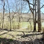 Property photo for land for sale in Stone County Arkansas