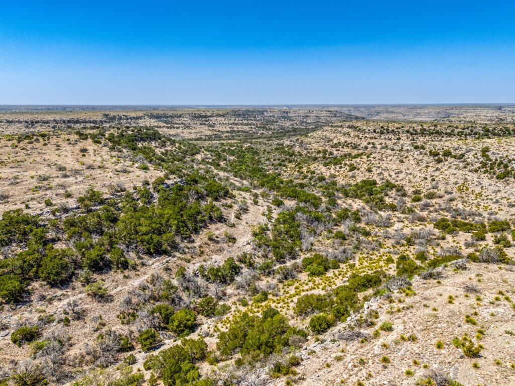 Property photo for land for sale in Crockett County Texas