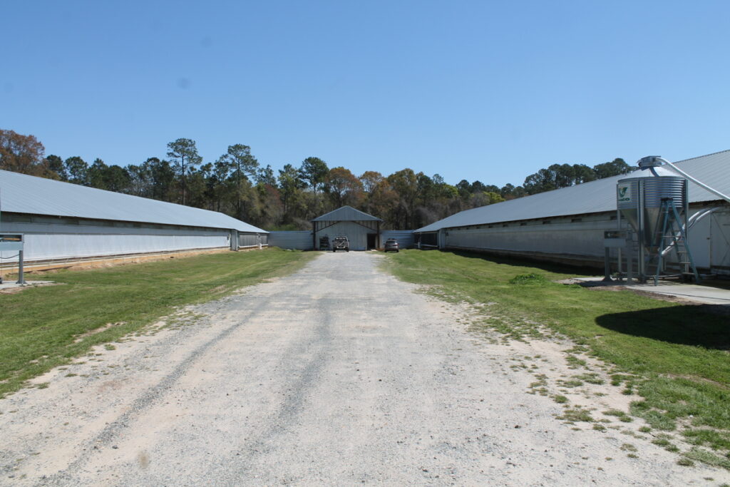 Property photo for land for sale in Berrien County Georgia