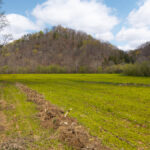 Property photo for land for sale in Hancock County Tennessee