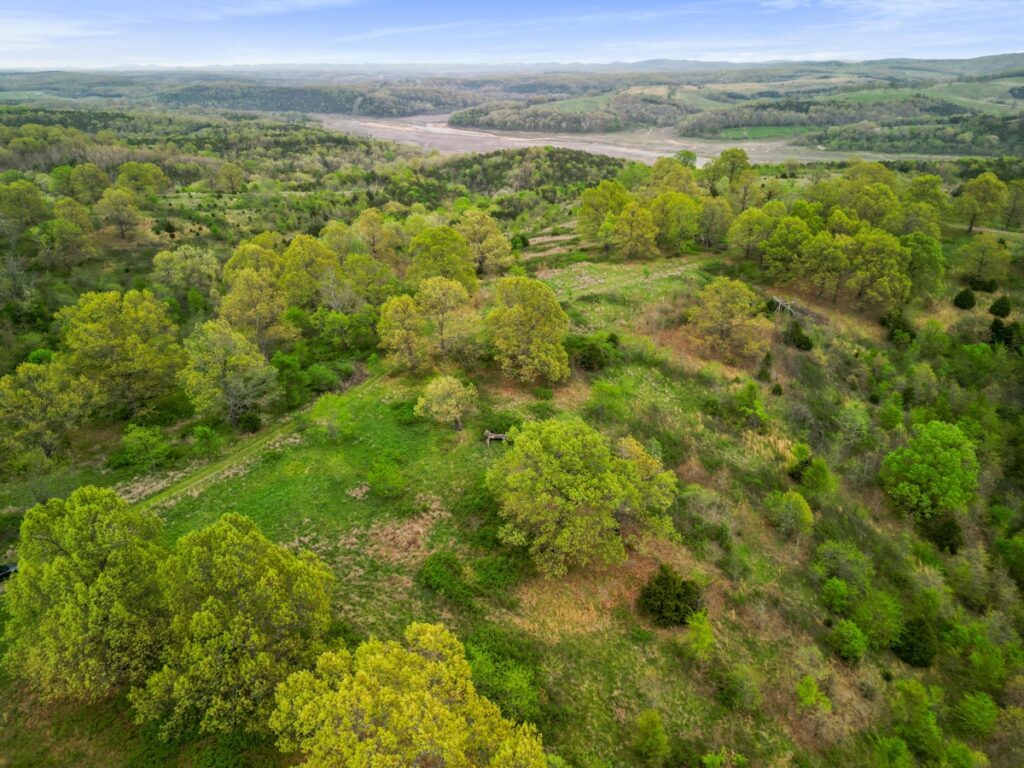 Property photo for land for sale in Ozark County Missouri