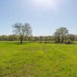 Property photo for land for sale in Polk County Arkansas