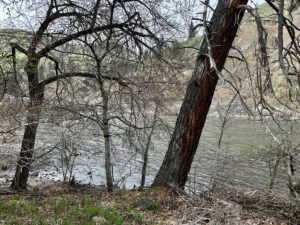 Property photo for land for sale in Idaho County Idaho