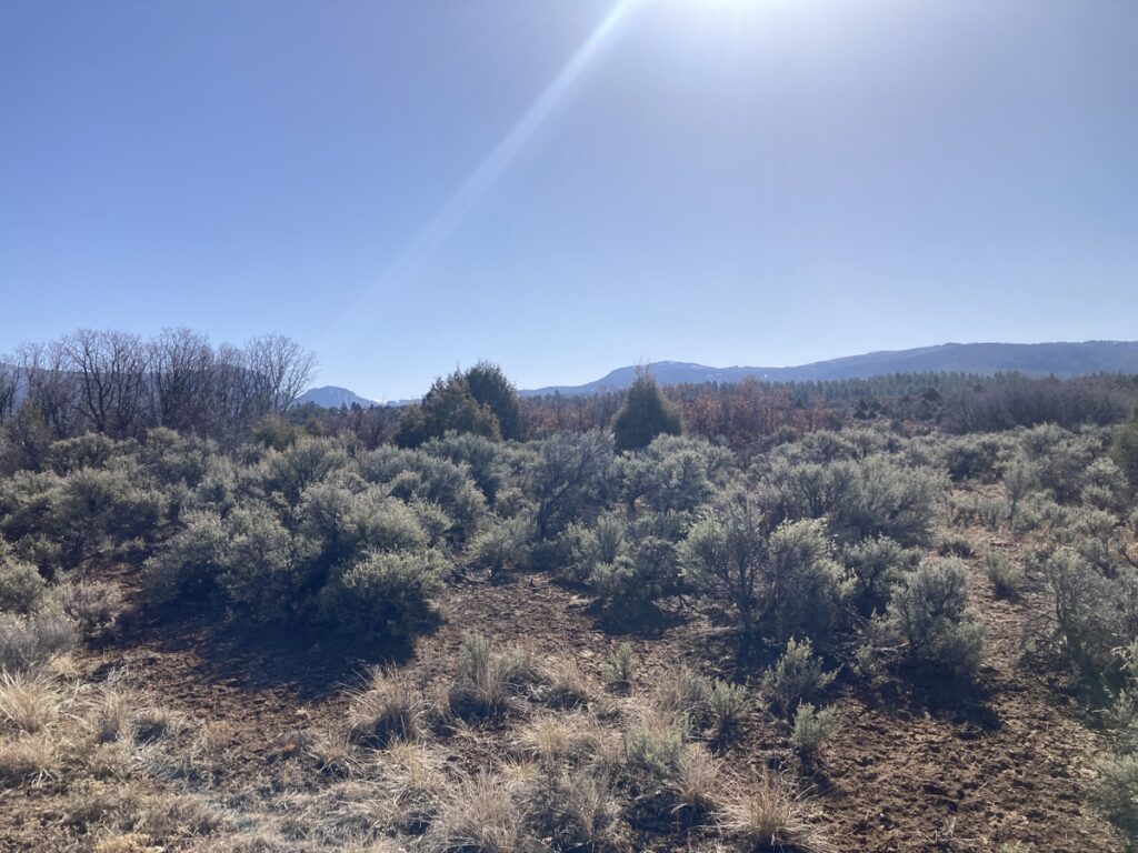 Property photo for land for sale in Rio Arriba County New Mexico