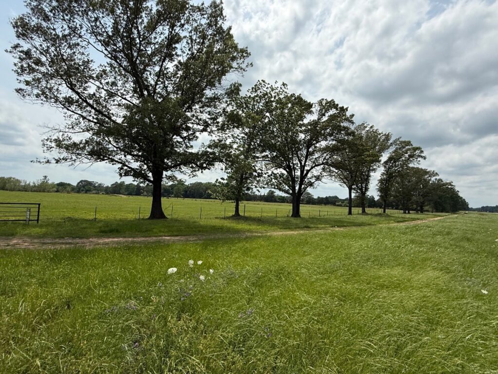 Property photo for land for sale in Bowie County Texas
