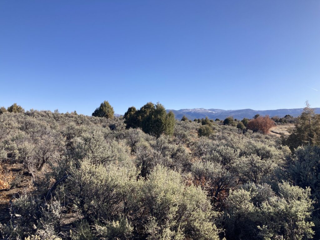 Property photo for land for sale in Rio Arriba County New Mexico