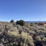 Property photo for land for sale in Rio Arriba County New Mexico