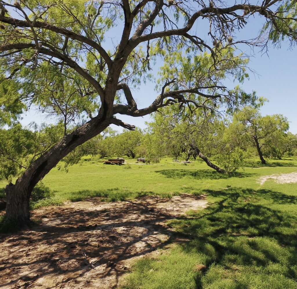 Property photo for land for sale in Kleberg County Texas