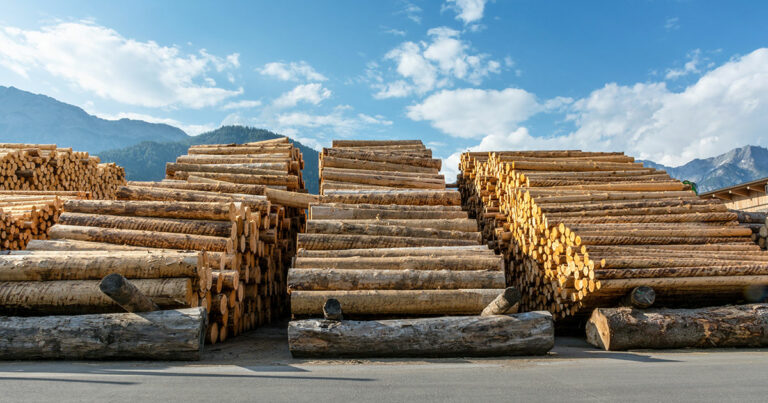 Largest Lumber Companies int he US