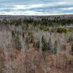 Property photo for land for sale in Penobscot County Maine