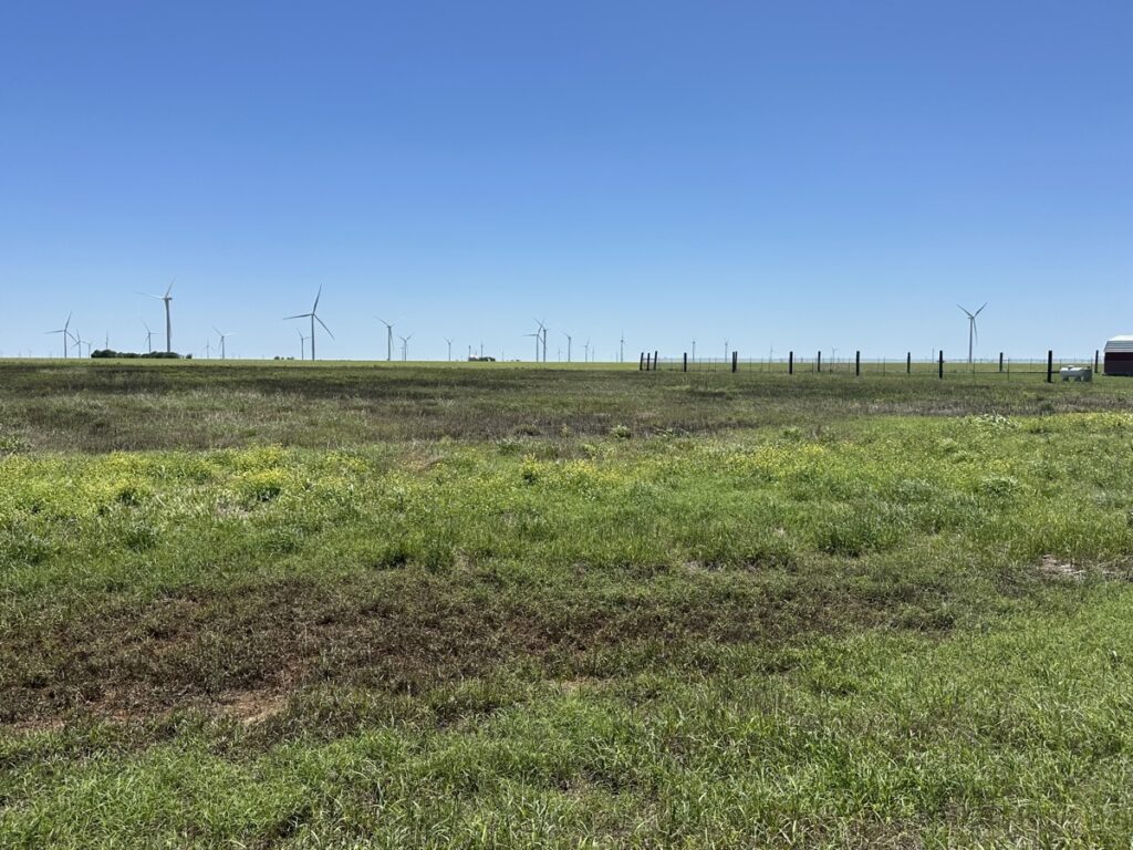 Property photo for land for sale in San Patricio County Texas