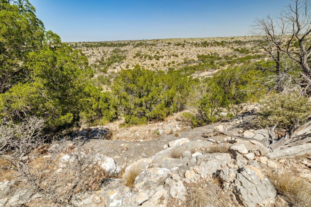 Property photo for land for sale in Crockett County Texas