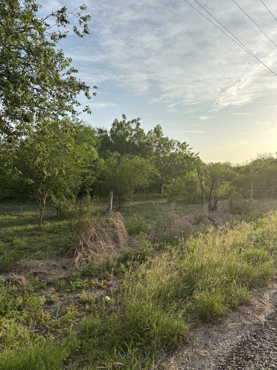 +/-160 Acres South Of Kingsville That Borders The King Ranch | Land For ...