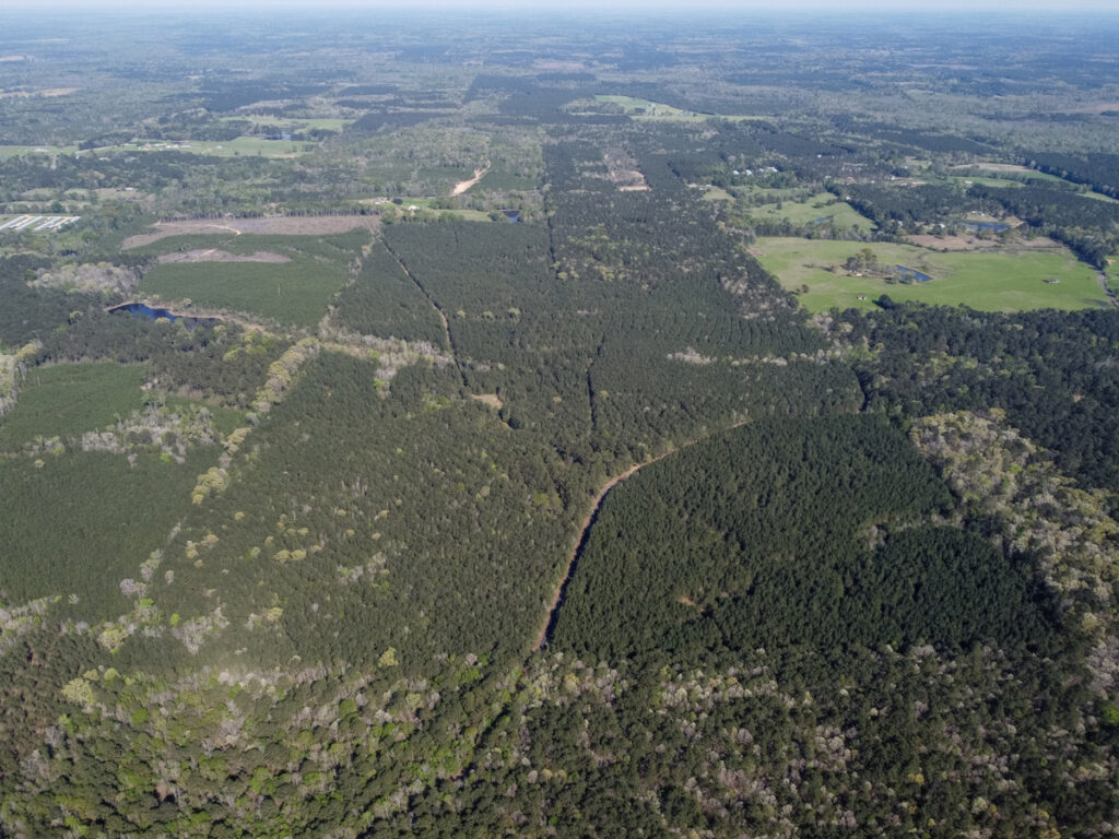 Property photo for land for sale in Jackson County Louisiana