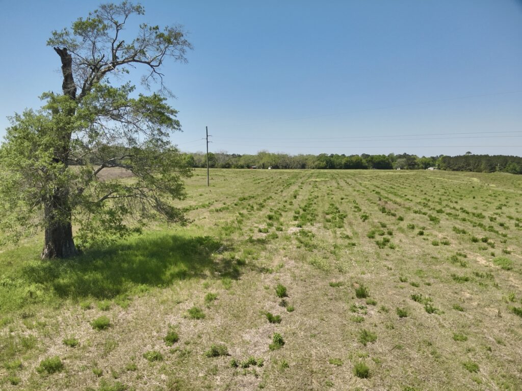 Property photo for land for sale in Houston County Alabama