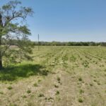 Property photo for land for sale in Houston County Alabama