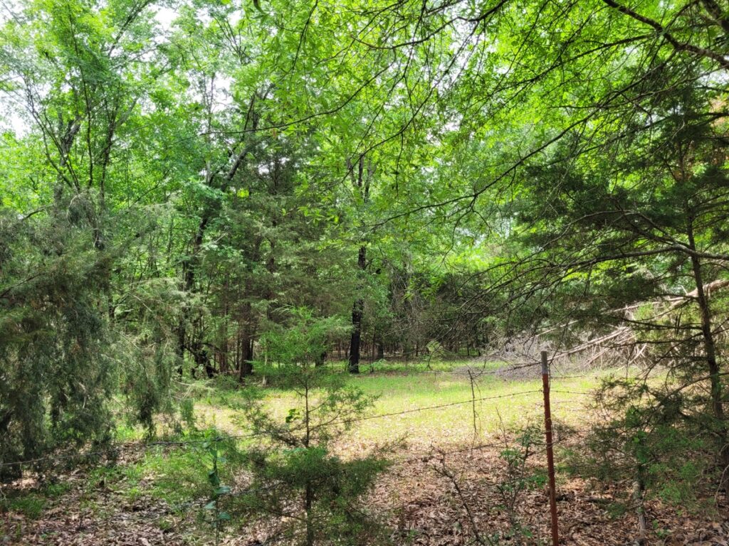 Property photo for land for sale in Red River County Texas