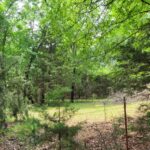 Property photo for land for sale in Red River County Texas