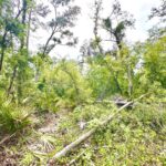Property photo for land for sale in Lafayette County Florida