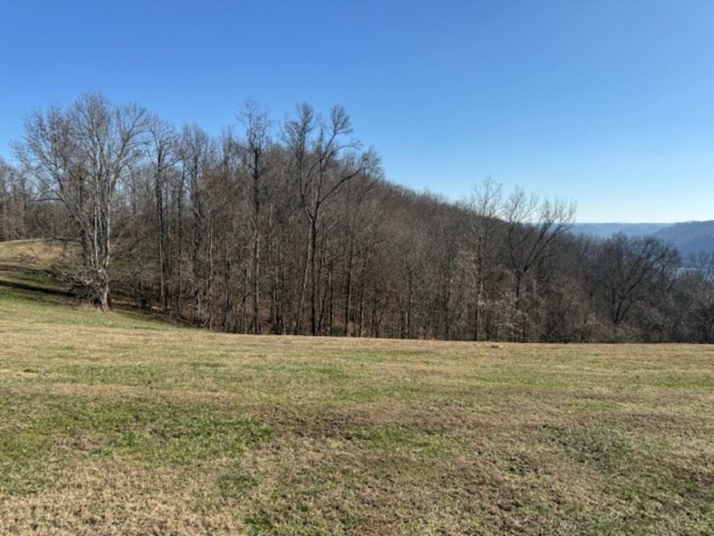 Property photo for land for sale in DeKalb County Tennessee