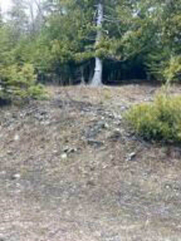 Property photo for land for sale in Chippewa County Michigan