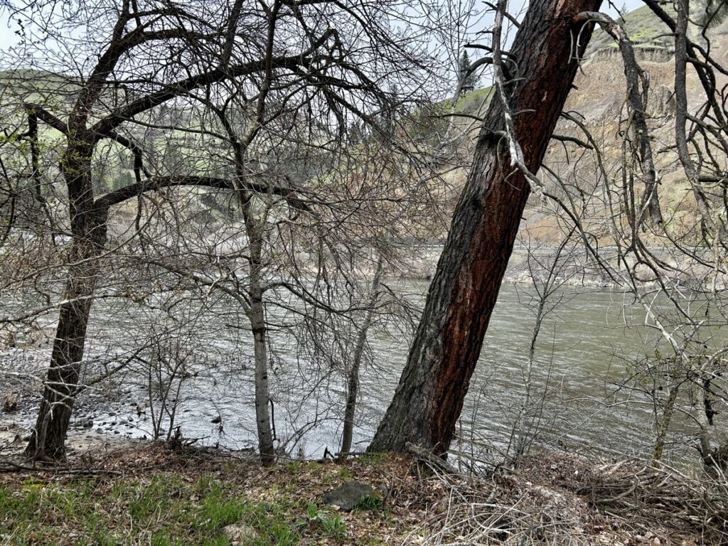 Property photo for land for sale in Idaho County Idaho