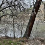 Property photo for land for sale in Idaho County Idaho