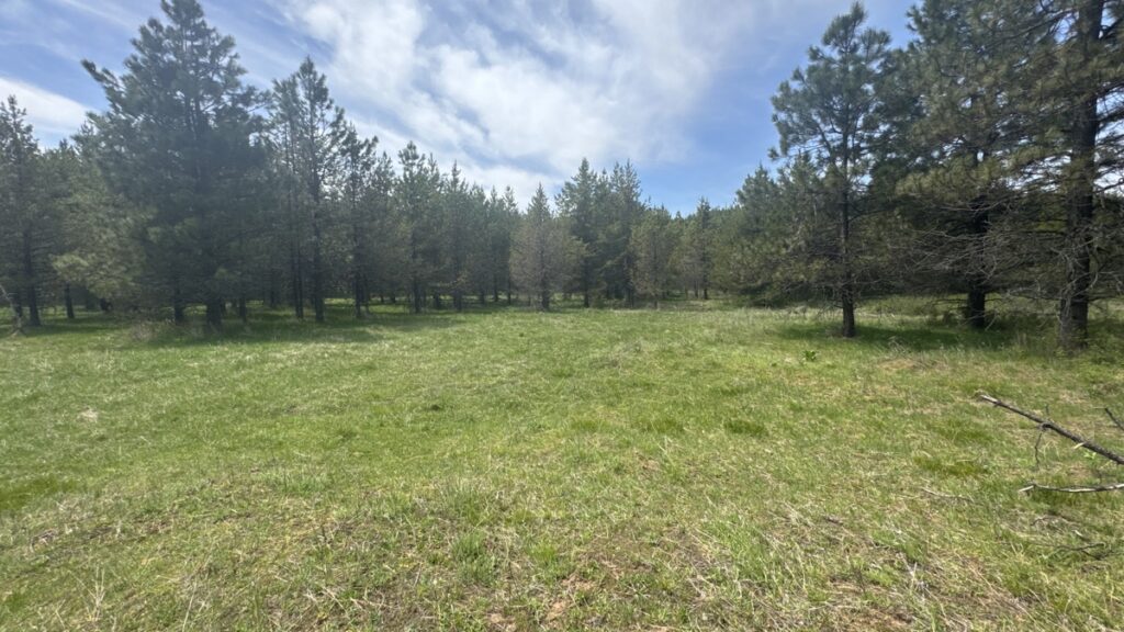 Property photo for land for sale in Clearwater County Idaho