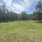 Property photo for land for sale in Clearwater County Idaho