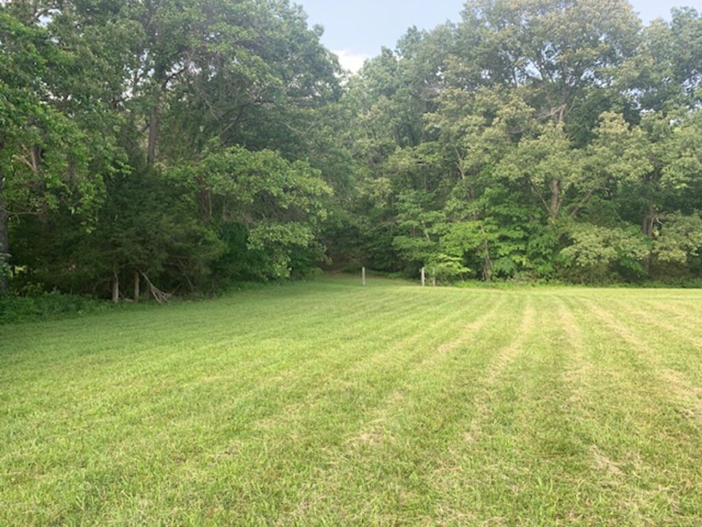 Property photo for land for sale in Marion County Arkansas