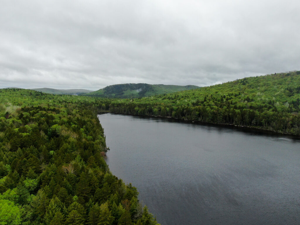 Property photo for land for sale in Penobscot County Maine